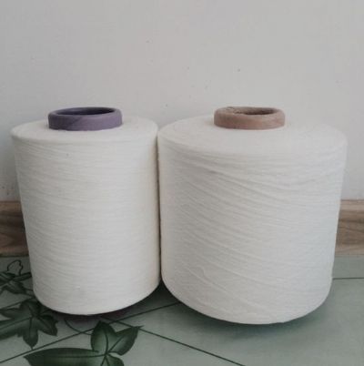 點(diǎn)擊查看詳細(xì)信息<br>標(biāo)題：渦流紡滌綸紗 閱讀次數(shù)：2524