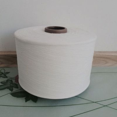 點(diǎn)擊查看詳細(xì)信息<br>標(biāo)題：氣流紡滌綸紗 閱讀次數(shù)：2365