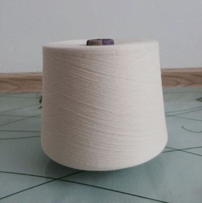 點(diǎn)擊查看詳細(xì)信息<br>標(biāo)題：精梳純棉紗 閱讀次數(shù)：2724