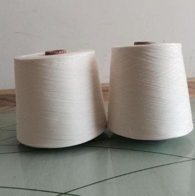 點擊查看詳細信息<br>標題：賽絡紡竹纖維 閱讀次數(shù)：2776