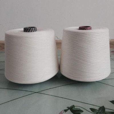 點擊查看詳細(xì)信息<br>標(biāo)題：莫代爾棉混紡紗 閱讀次數(shù)：2936