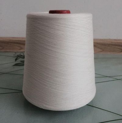 點擊查看詳細(xì)信息<br>標(biāo)題：絹絲粘膠混紡紗 閱讀次數(shù)：3545