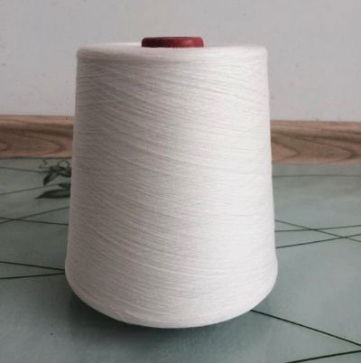 點(diǎn)擊查看詳細(xì)信息<br>標(biāo)題：緊密紡純棉紗 閱讀次數(shù)：11851