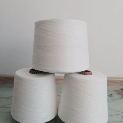 點(diǎn)擊查看詳細(xì)信息<br>標(biāo)題：仿大化滌綸紗 閱讀次數(shù)：4815