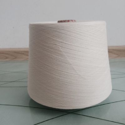 點擊查看詳細(xì)信息<br>標(biāo)題：緊密賽絡(luò)紡竹纖維紗 閱讀次數(shù)：4385