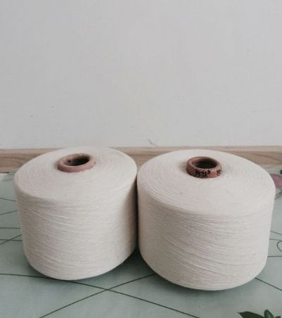點(diǎn)擊查看詳細(xì)信息<br>標(biāo)題：氣流紡滌棉紗 閱讀次數(shù)：10239