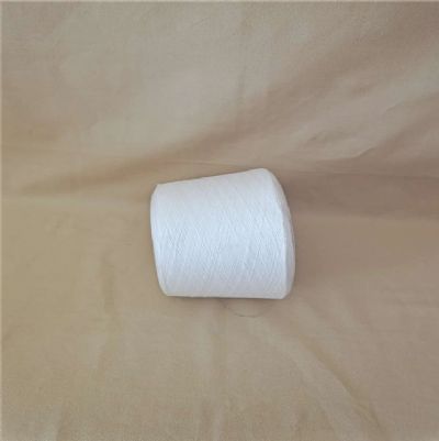 點(diǎn)擊查看詳細(xì)信息<br>標(biāo)題：阻燃滌綸紗的功能介紹 閱讀次數(shù)：994